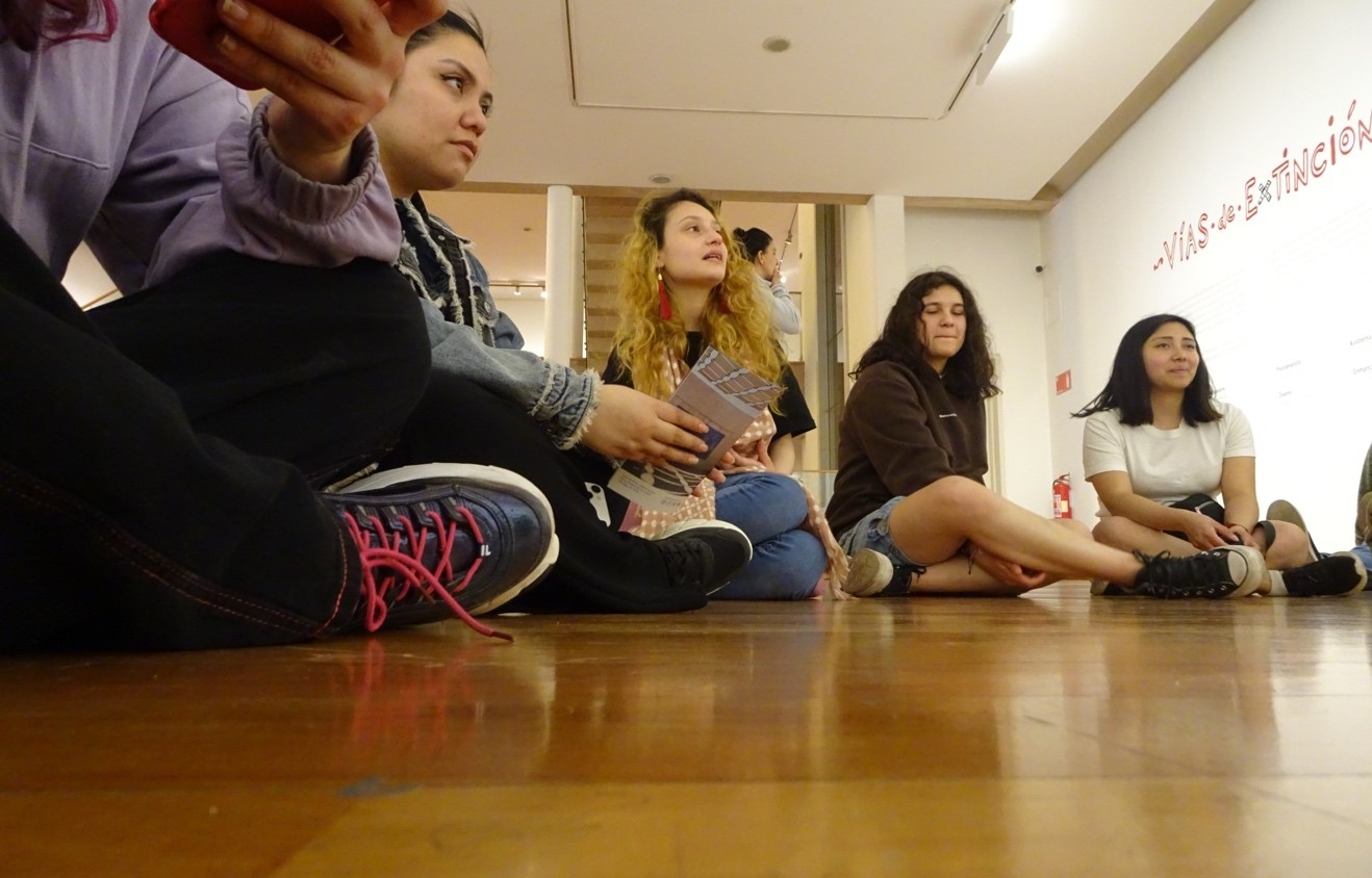 Futuros docentes bajo la lupa: ¿Qué saben sobre evaluación escolar antes de entrar a la universidad?