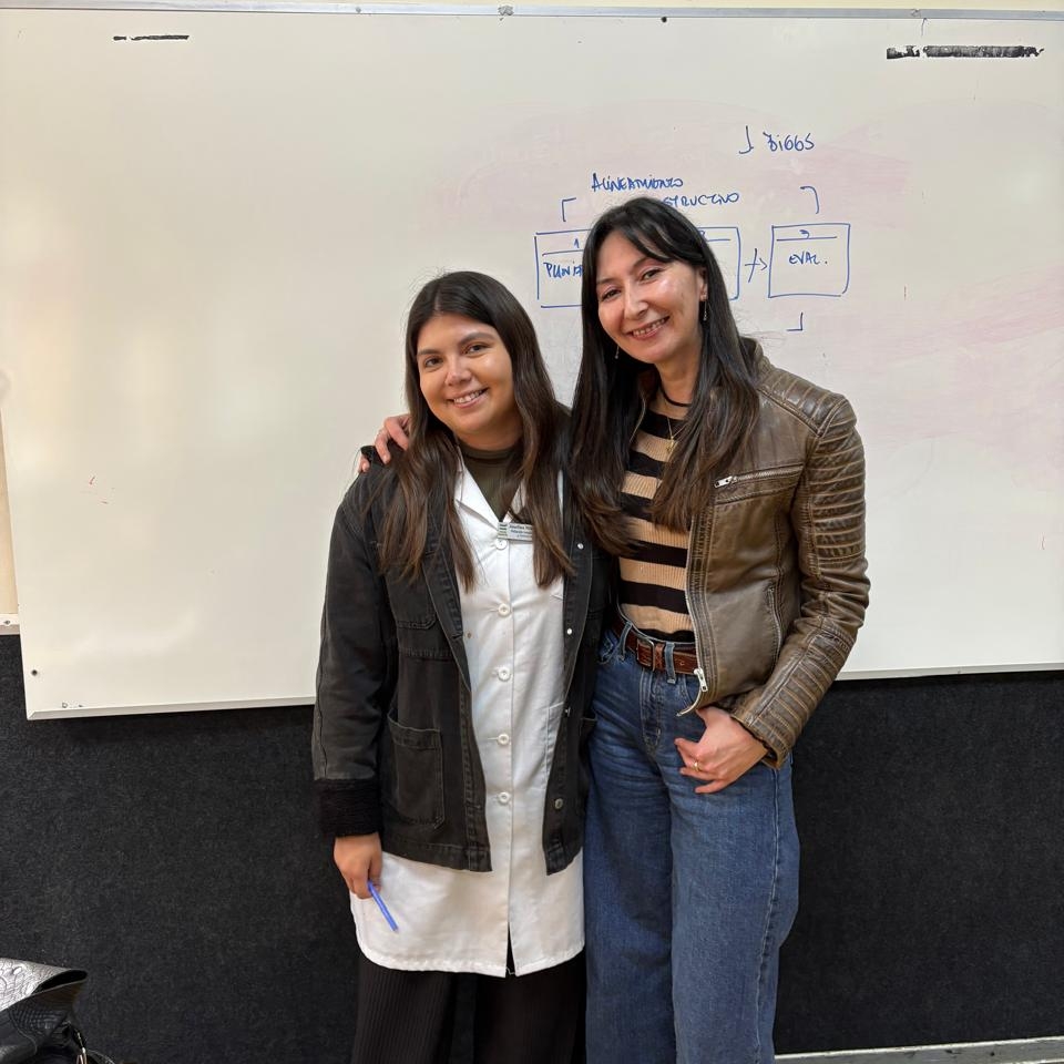 Innovación pedagógica en el aula: la articulación de la tríada formativa y el diseño didáctico en la formación de futuros docentes de Lengua y Literatura
